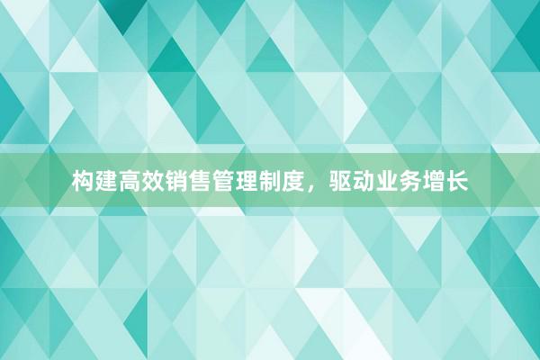 构建高效销售管理制度，驱动业务增长